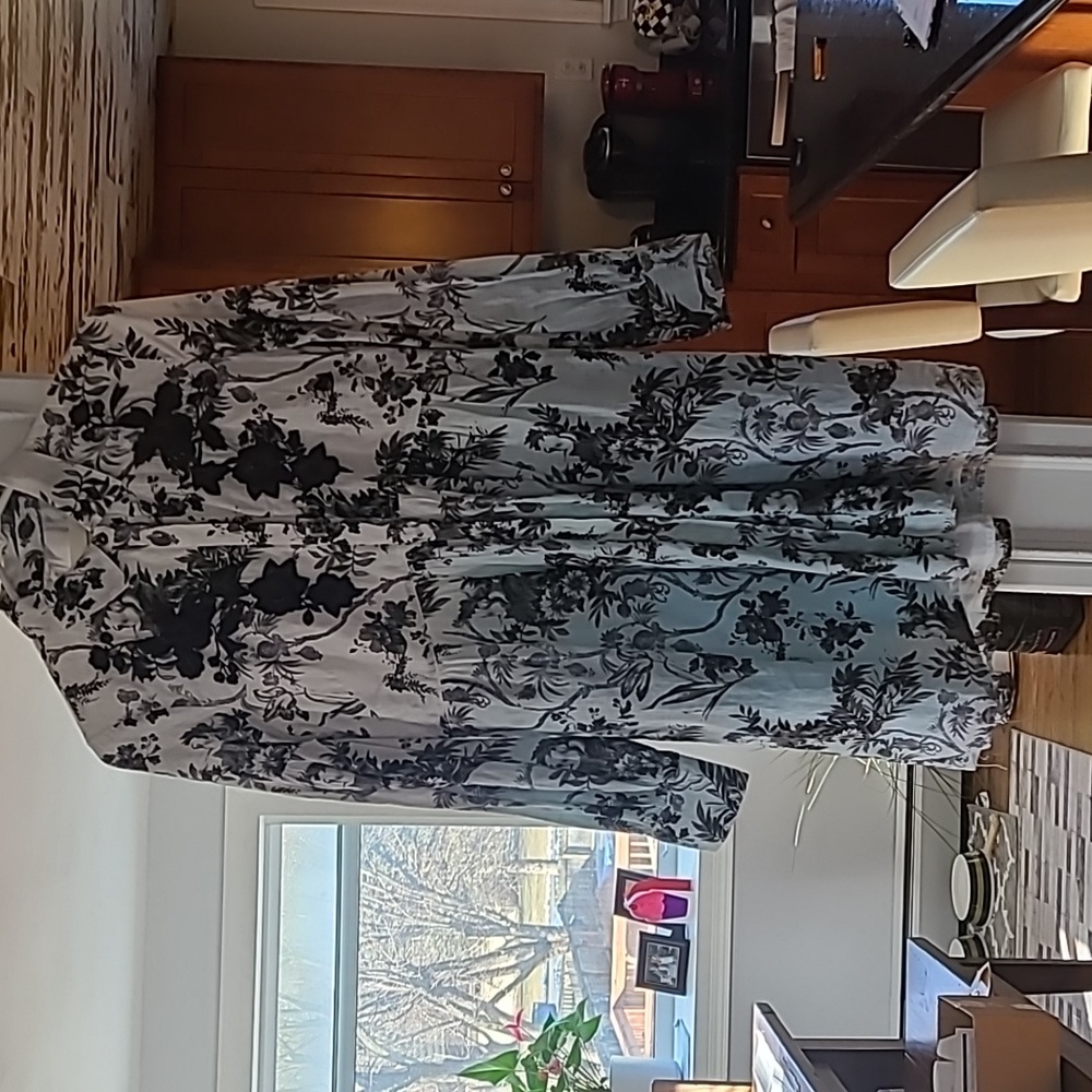 Anthropologie Shirt/Dress Sz 4